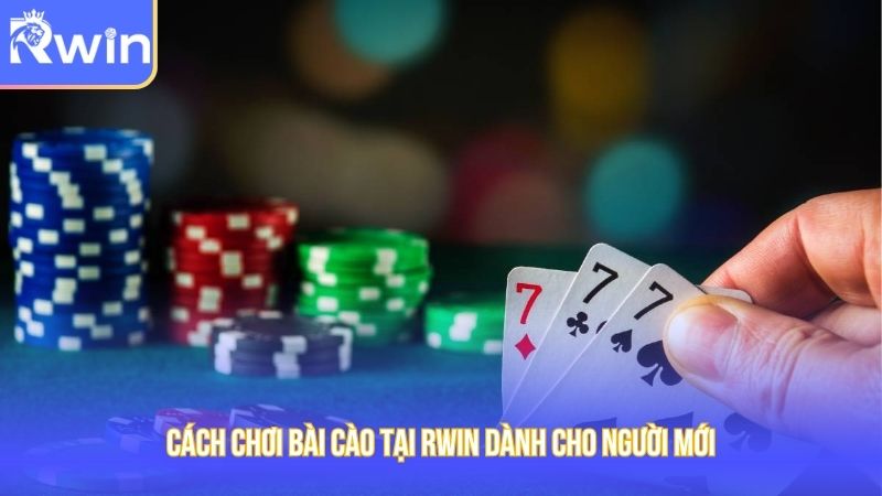 Cách chơi bài bài chi tiết và đầy đủ cho tân binh