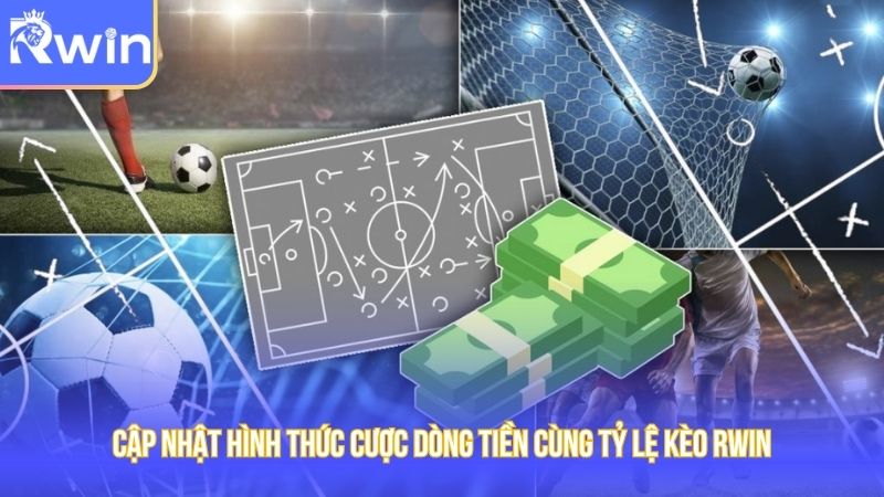 Cập nhật hình thức cược dòng tiền cùng tỷ lệ kèo Rwin