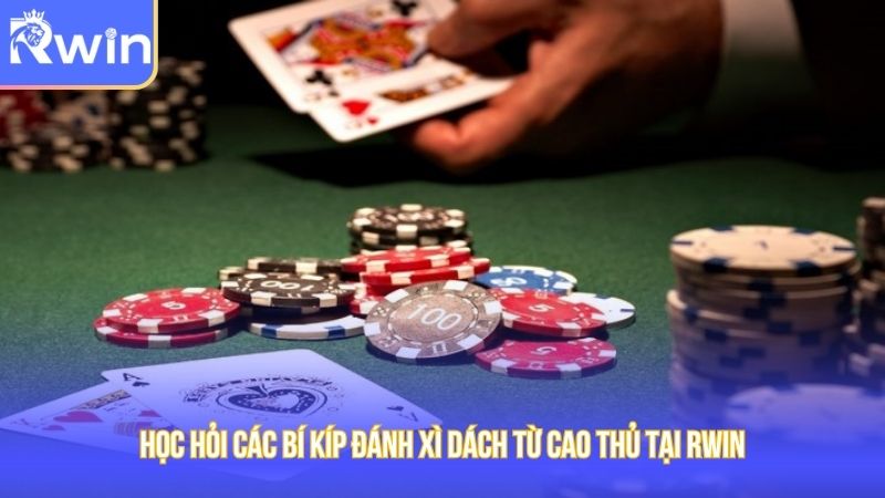 Học hỏi các bí kíp đánh xì dách từ cao thủ