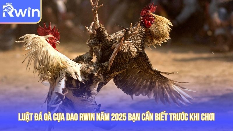 Luật Đá Gà Cựa Dao RWIN Năm 2025 Bạn Cần Biết Trước Khi Chơi