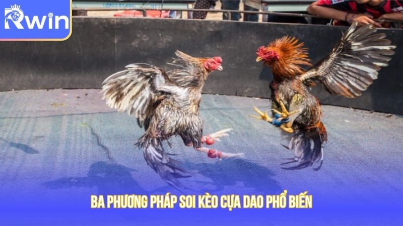 Ba phương pháp soi kèo cựa dao phổ biến