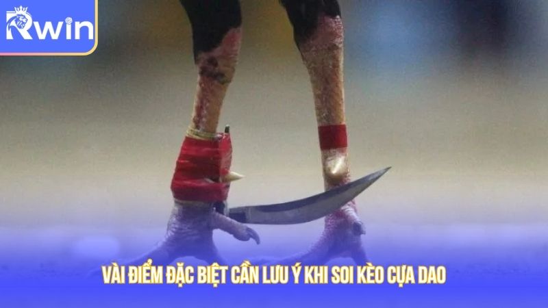 Vài điểm đặc biệt cần lưu ý khi soi kèo cựa dao