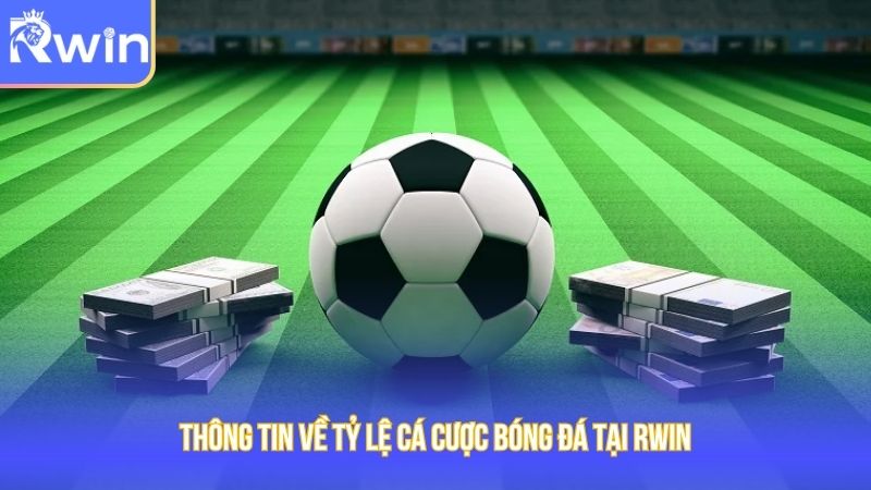 Thông tin về tỷ lệ cá cược bóng đá tại Rwin